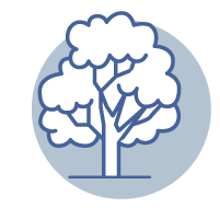 estate planning, tree